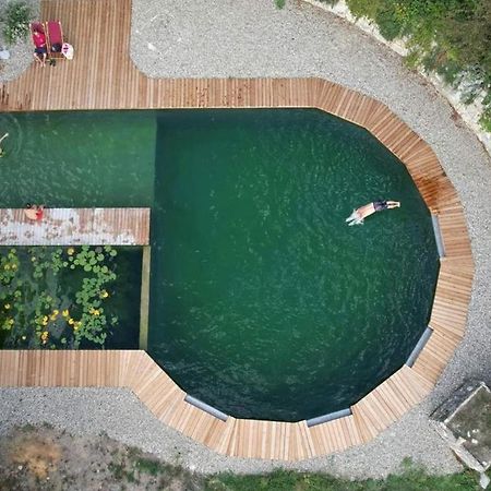 Grand Gite Les Cabanes De Fallot Pour 19 Personnes - Piscine Naturelle L'isle-Bouzon Eksteriør billede